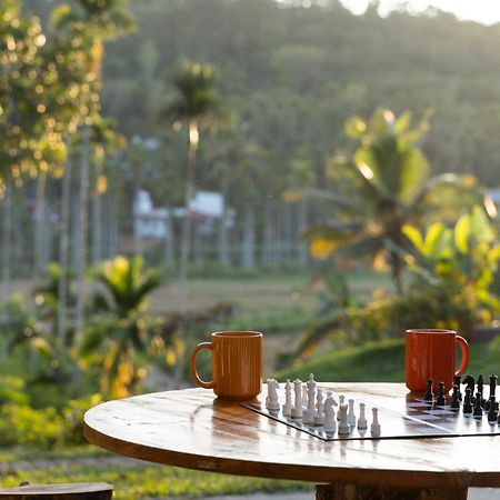 Stayvista At The Big Chill With Breakfast Included Wayanad Dış mekan fotoğraf